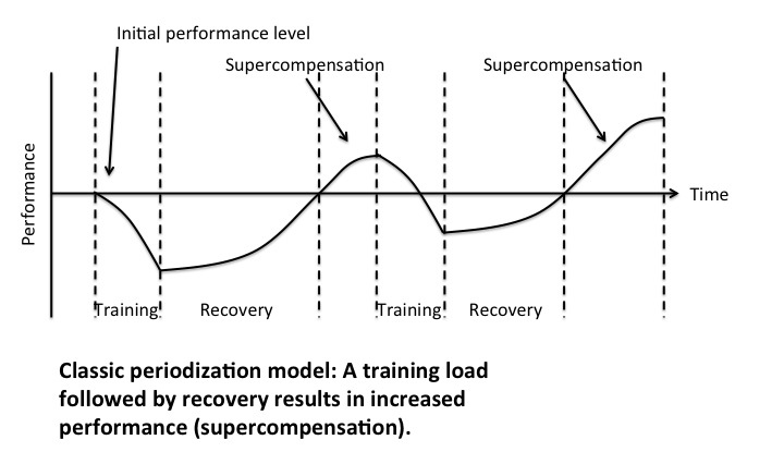 Periodization model showing what happens with appropriate training frequency